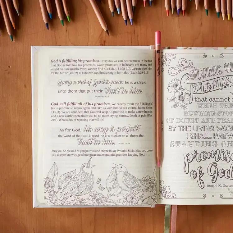 Journaling Bibles