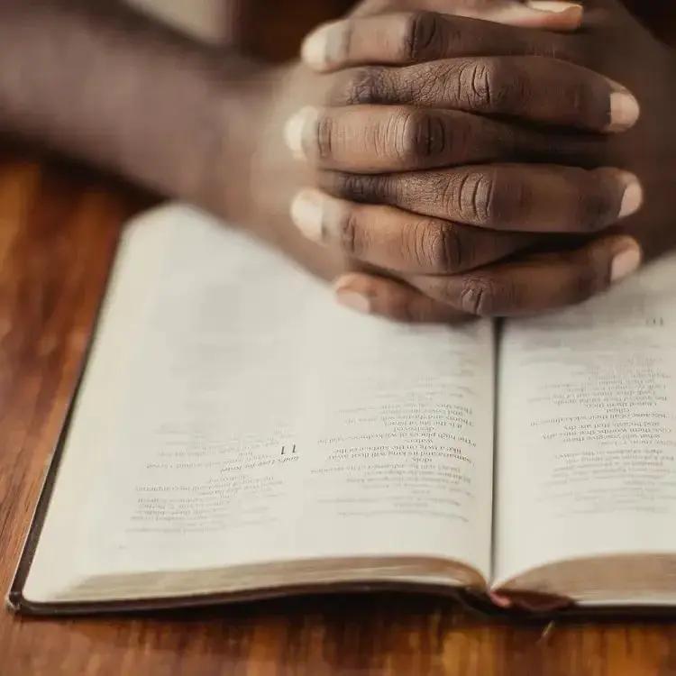 Study Bibles (include notes, references and maps)
